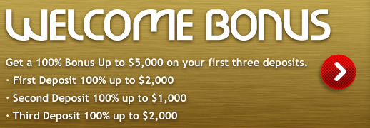 Drake Casino Bonus